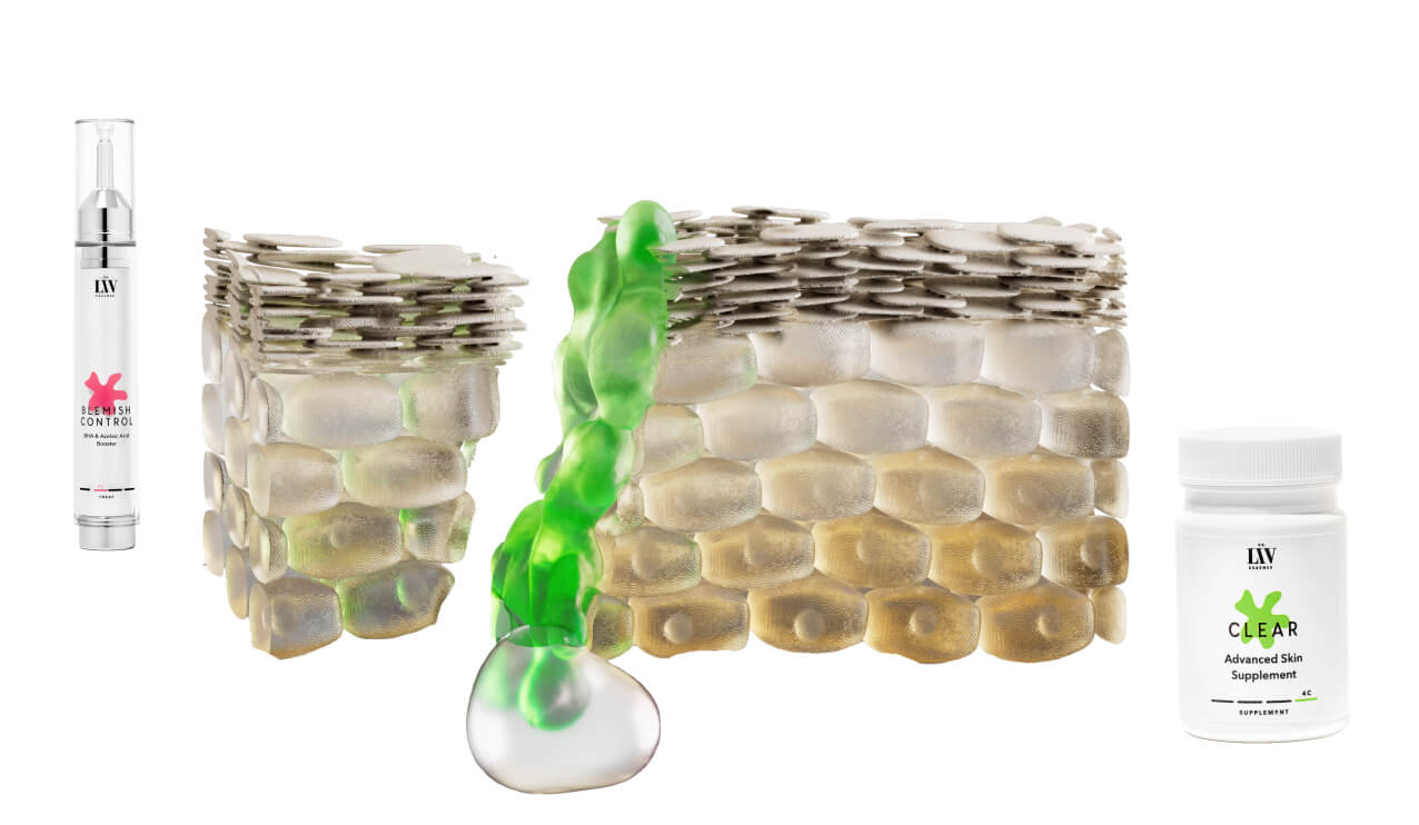 Dr. Liv Kraemer Skincare illustration of the LEVEL III of the Dr. Liv Method for Skin Longevity with the skin as a brick wall