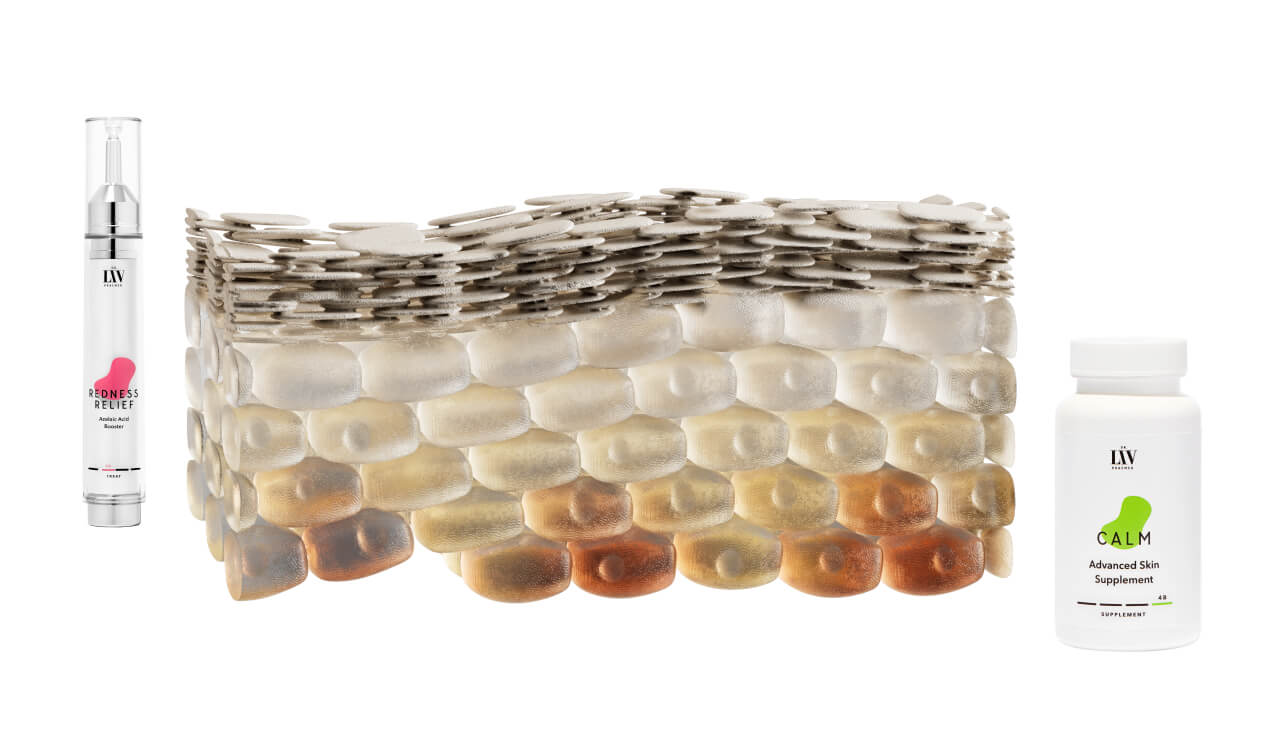 Dr. Liv Kraemer Skincare illustration of the effects of the LEVEL III of the Dr. Liv Method for Skin Longevity - showing the stable skin as a brick wall