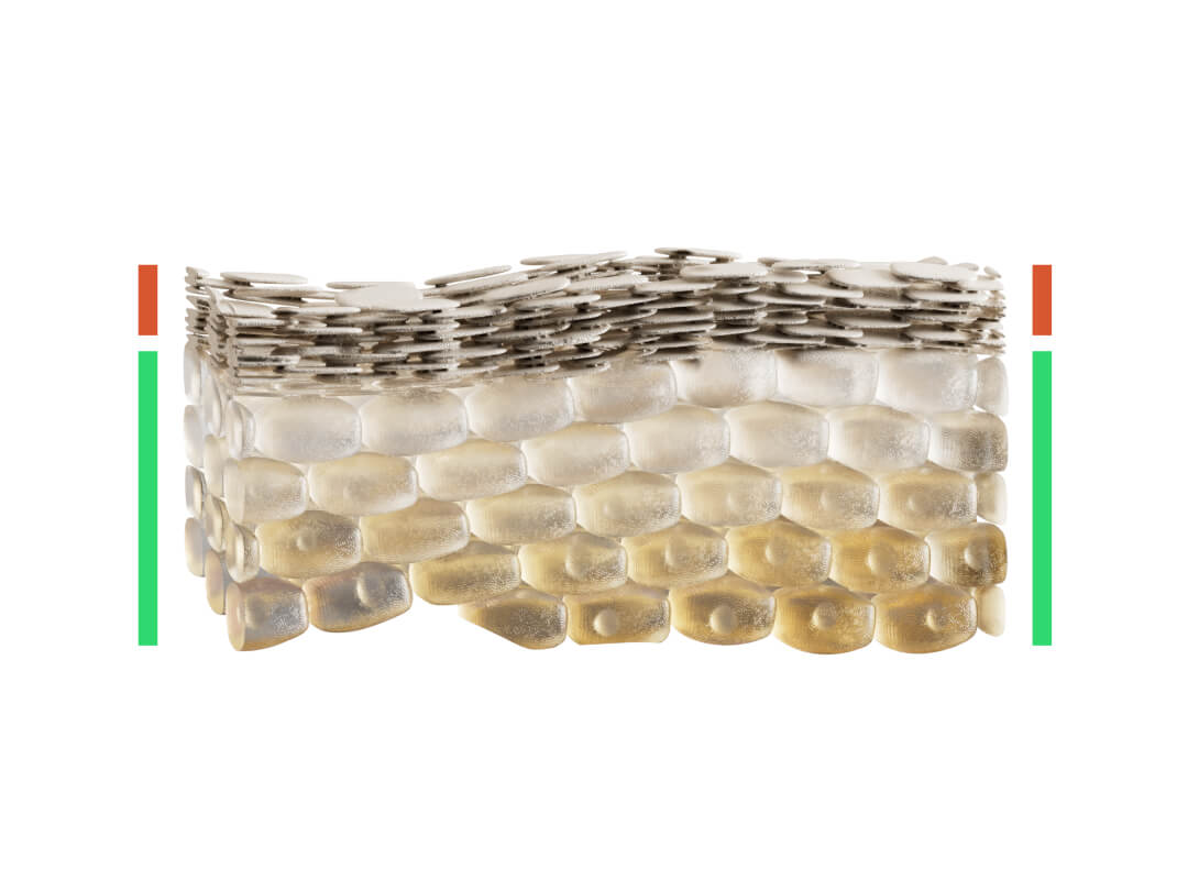 Dr. Liv Kraemer Skincare owned illustration of the skin as a brick wall, showing the percentage of healthy skin cells underneath and dead skin cells at the top