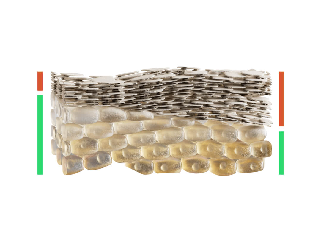 Dr. Liv Kraemer Skincare owned illustration of the skin as a brick wall, showing the percentage of healthy skin cells underneath and dead skin cells at the top