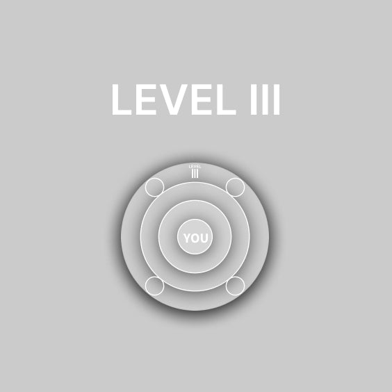 Level III Grafik – gezielte Hautlösungen im Dr. Liv Kraemer Skincare System