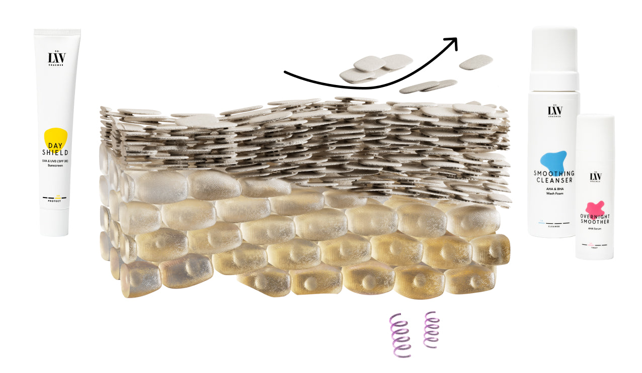 Dr. Liv Kraemer Skincare illustration of the effects of the LEVEL I of the Dr. Liv Method for Skin Longevity - showing the dead skin cells being removed off the top layer of the skin.